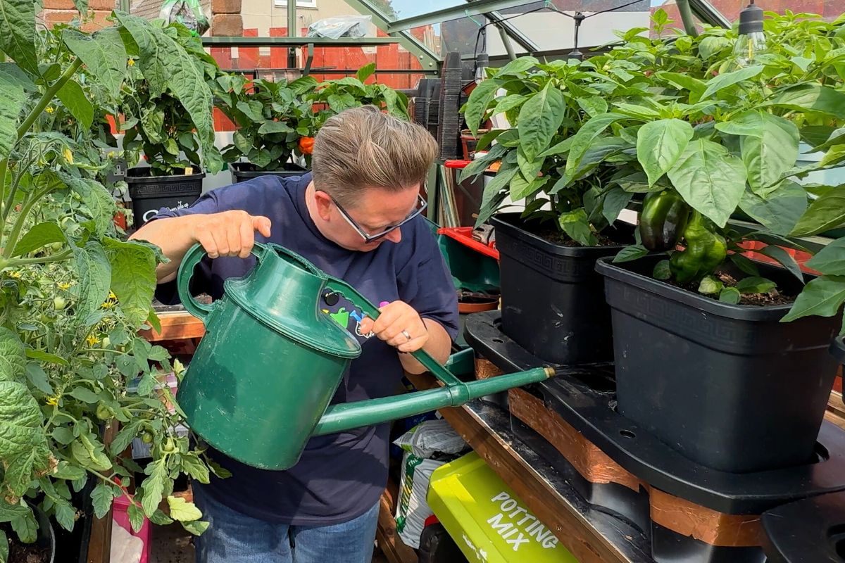 feeding and watering in the quadgrow self watering planter